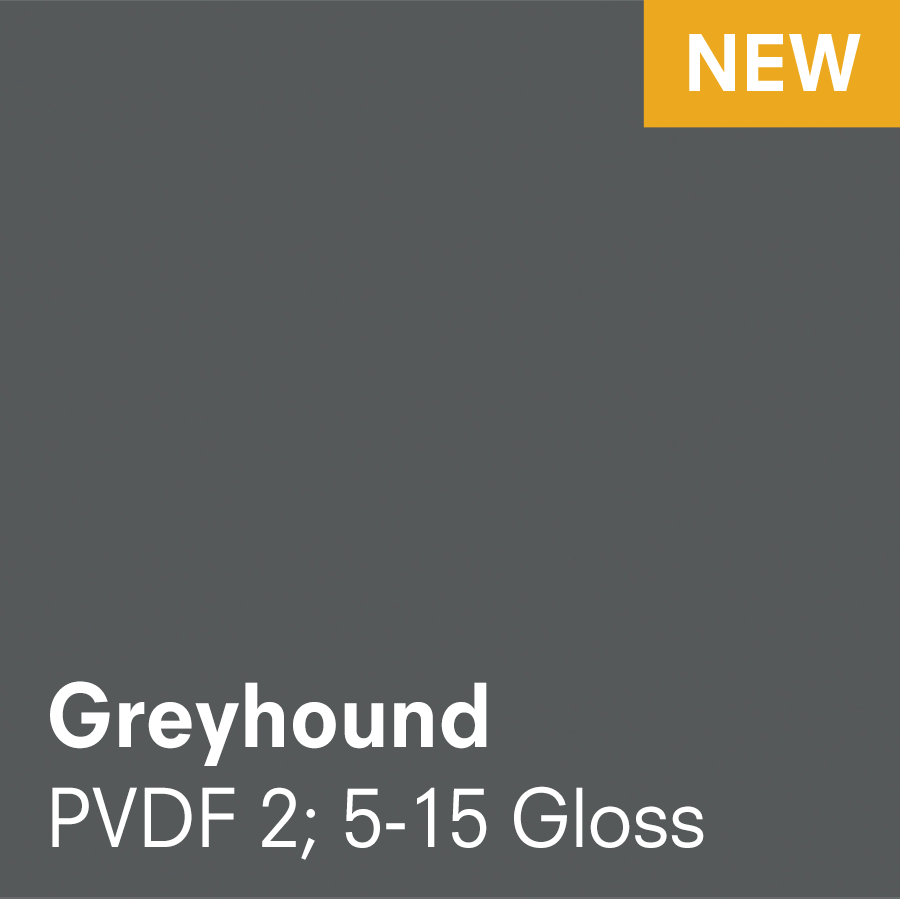 Greyhound (3.5 x 5.5)